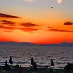 Venus فندق